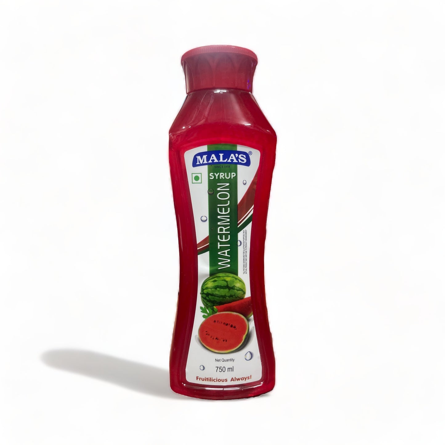 a close up of a vase with a plant in it